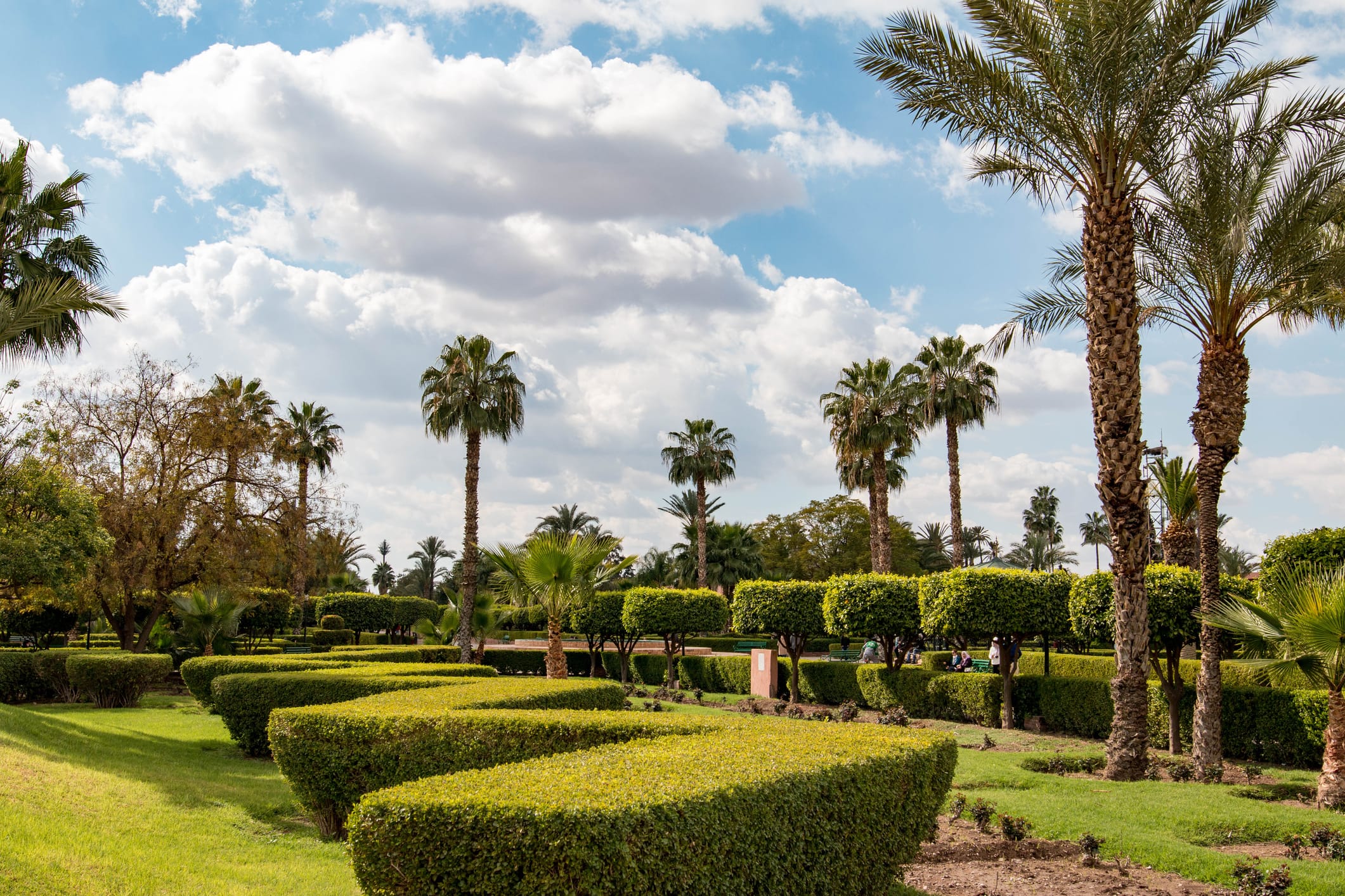 The Jardin Majorelle in Marrakech, Morocco.
